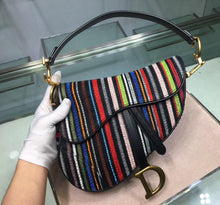 Load image into Gallery viewer, Dior Saddle Canvas Bag Embroidered With Multi-coloured Stripes
