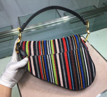Load image into Gallery viewer, Dior Saddle Canvas Bag Embroidered With Multi-coloured Stripes
